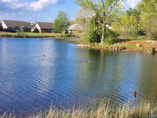 Building Photo - 103 Fields Pond Dr