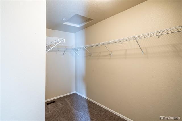 Building Photo - 4910 Pearl Kite View