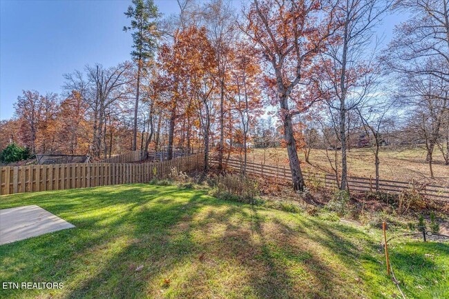 Building Photo - 1013 Curly Top Ln