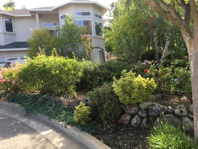 Front - 165 Ramona Rd