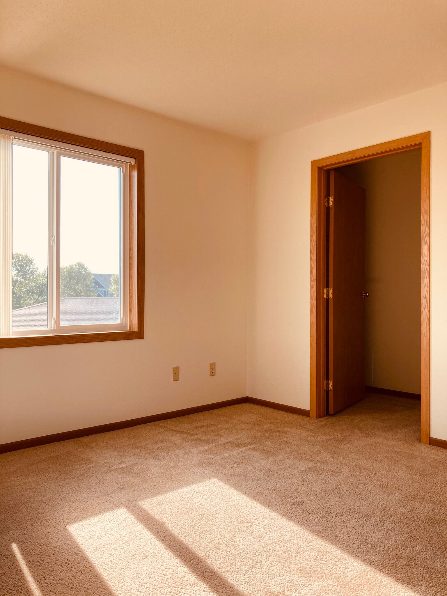 Building Photo - Summerfield Thief River Falls Townhomes