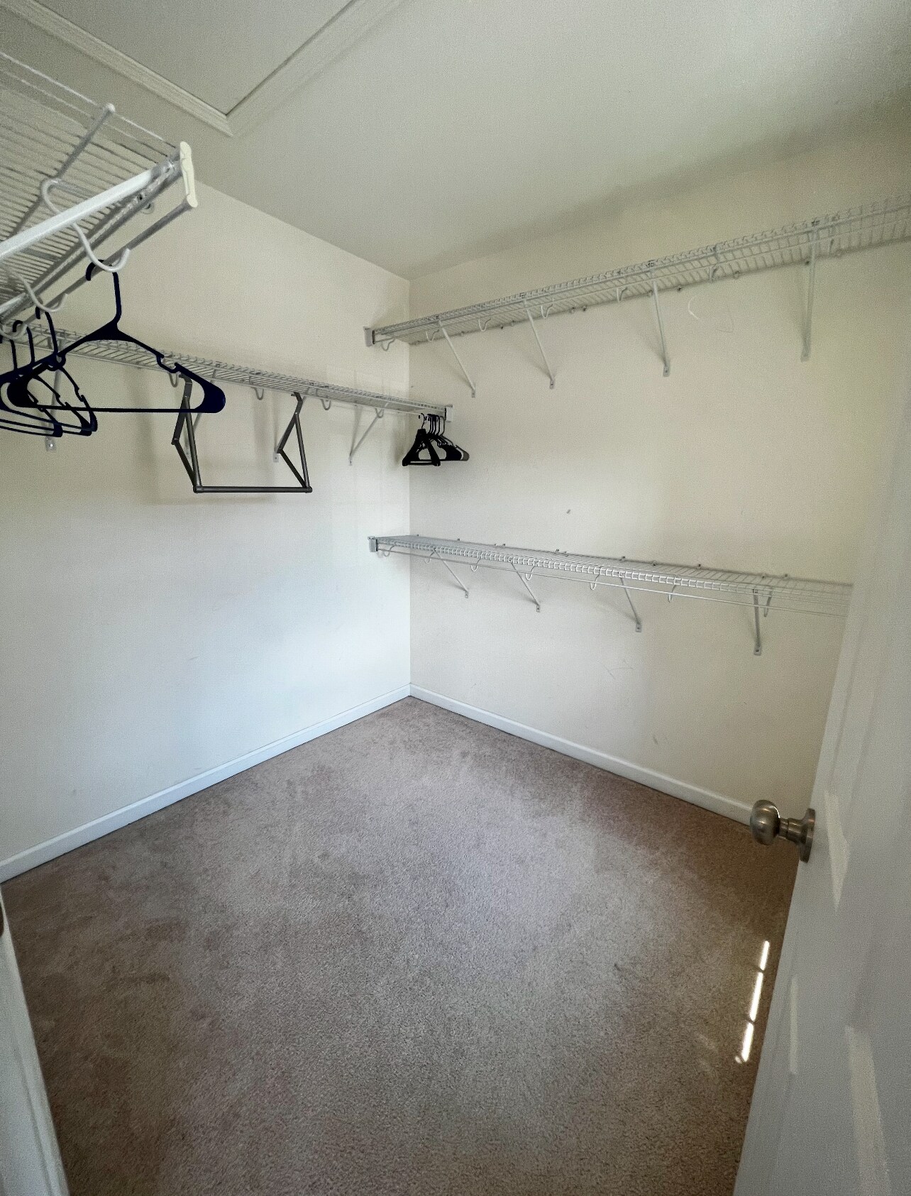 Building Photo - 101 Brownstone Ct