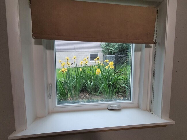 Building Photo - Coralville 4 bedroom 2.5 bath, 2 stall attached garage, fenced yard!