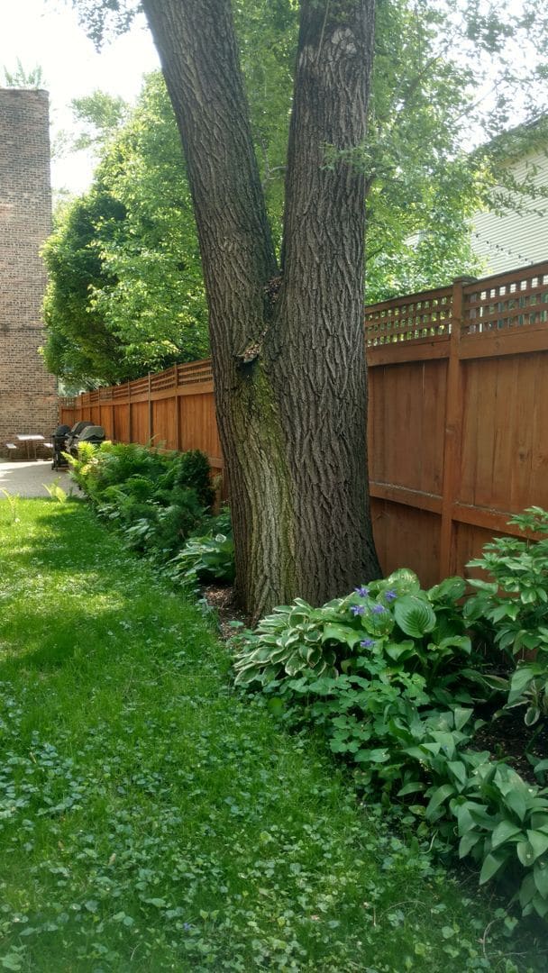 Building Photo - Sun-drenched Roscoe Village with sunny patio and yard