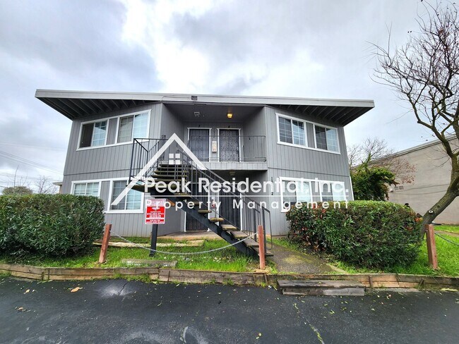 Primary Photo - Croetto10532