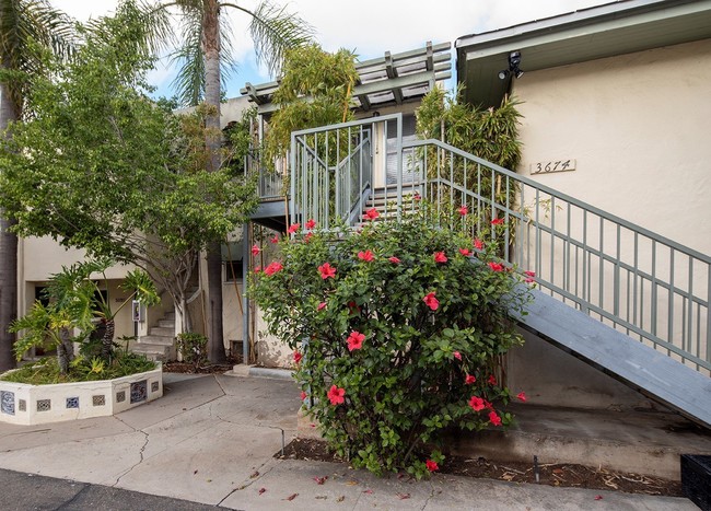 Building Photo - *OPEN HOUSE: 5/3 1-2PM* 2 BR in the Heart ...