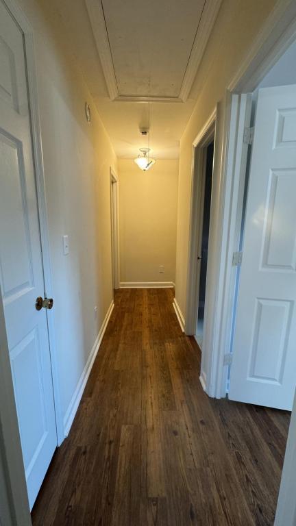 Building Photo - 1024 Plantation Ct