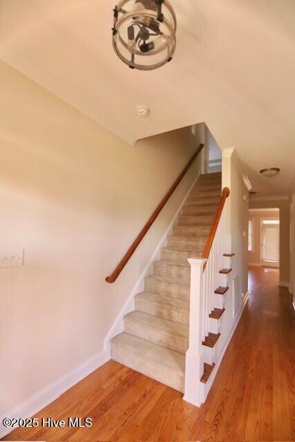 Building Photo - 1013 Trinity Dr