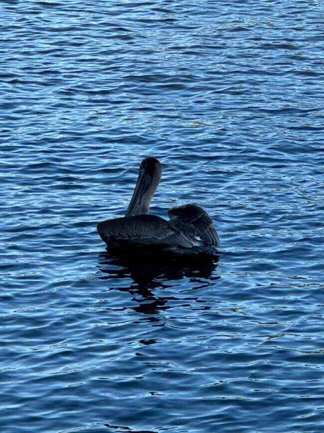 Building Photo - 646 Snug Harbor Dr