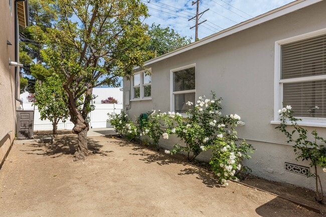 Backyard - 16601 Valerio St