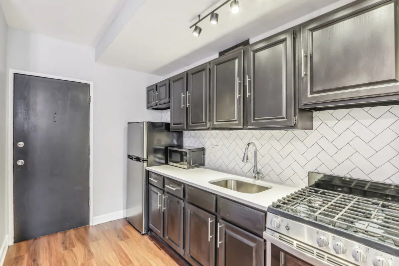 Building Photo - 1143 N La Salle Dr