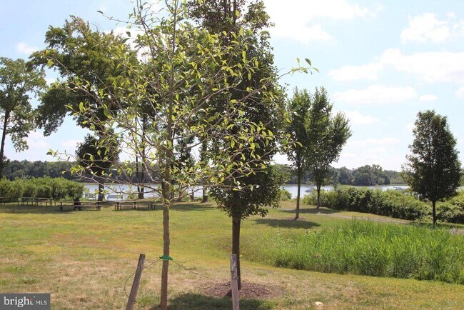 Building Photo - 127A Annapolis St