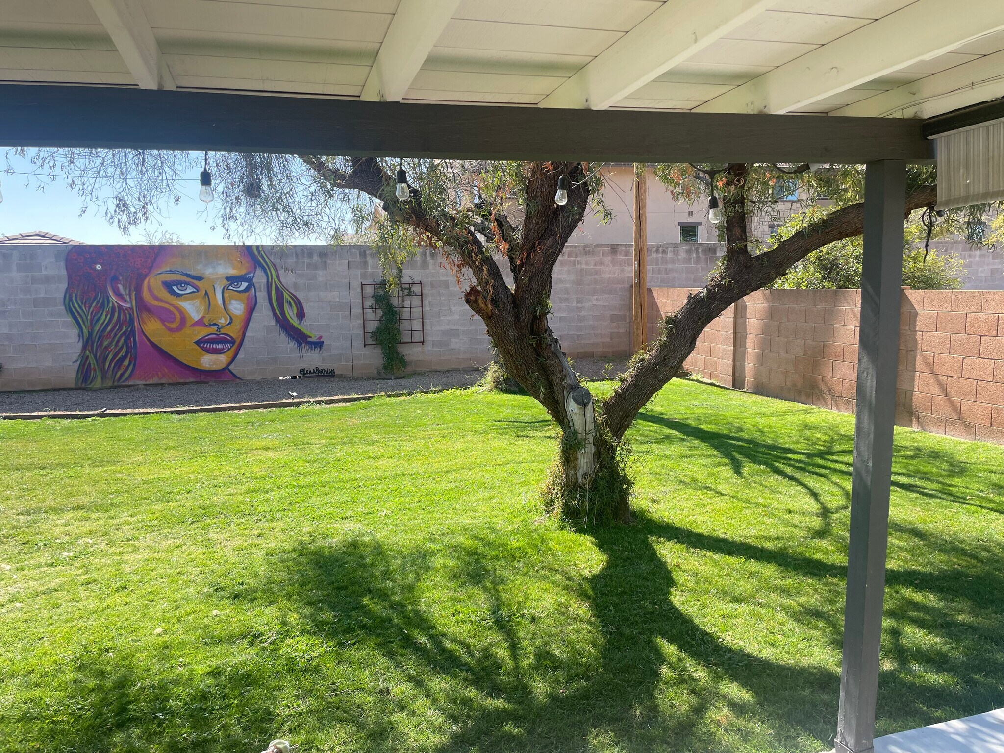 Backyard lawn - 911 E San Juan Ave