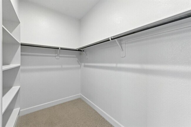 Building Photo - 177 Plumbago Loop