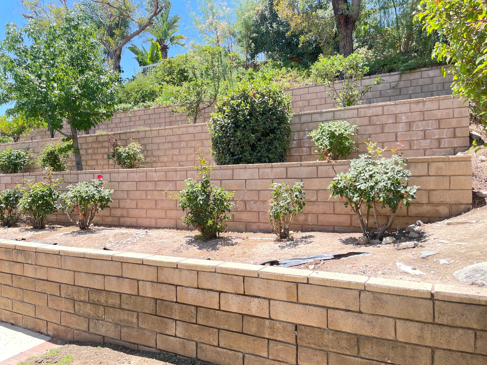 Building Photo - 5605 Vista Cantora