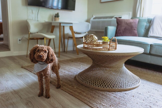 Building Photo - 308 Lamont St