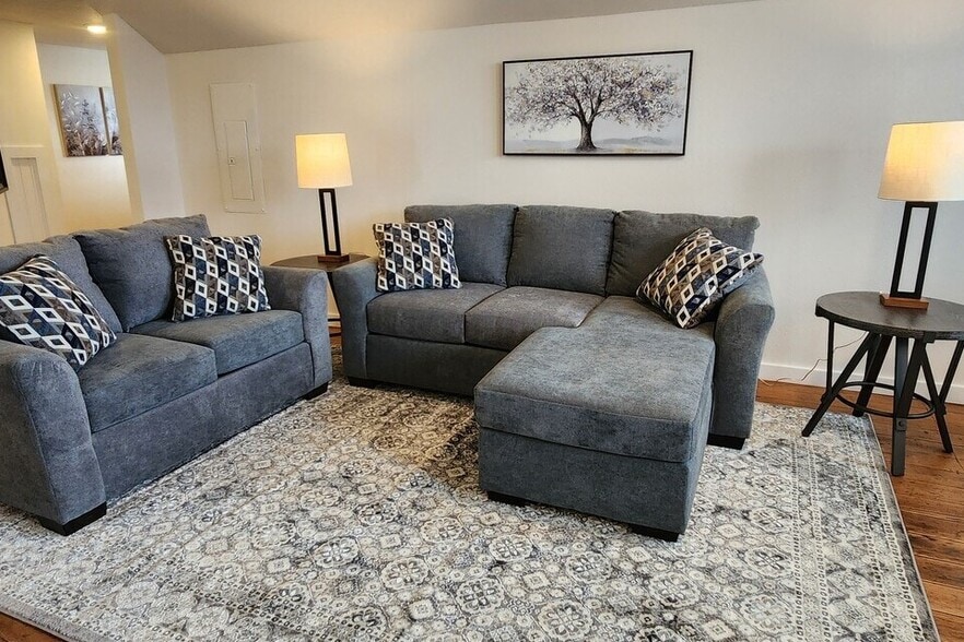 Apartment 201 Living room - Summer Street Apartments