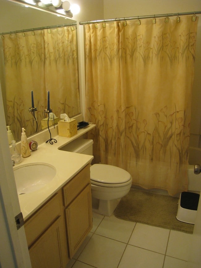 Downstairs Bathroom - 414 Galleria Dr