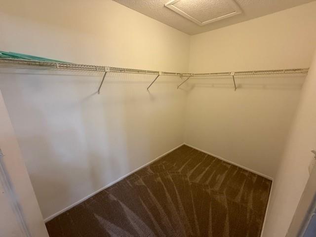 Building Photo - 10616 Mellow Meadow Dr