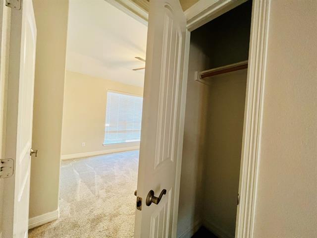 Building Photo - 110 Frank St