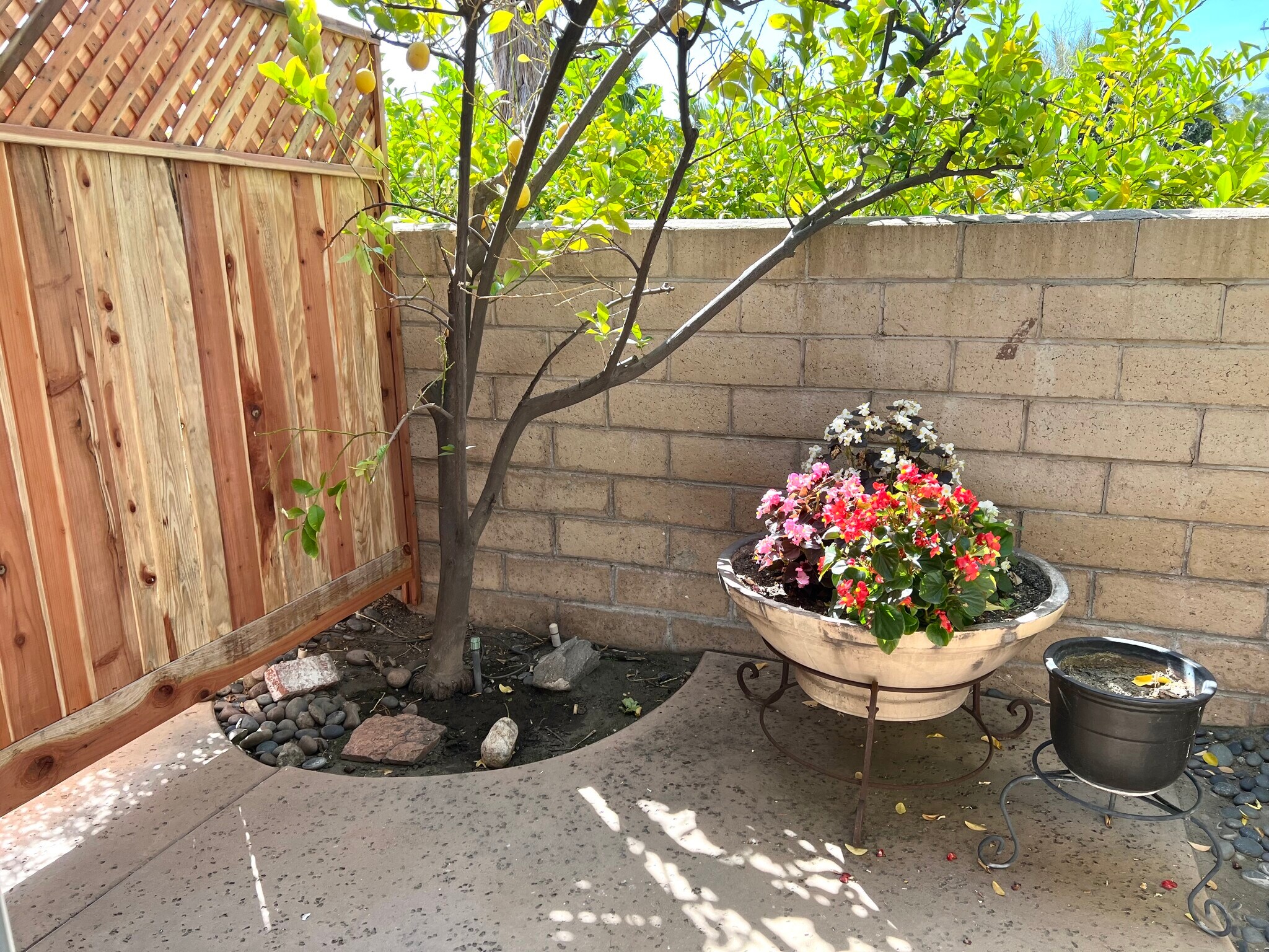2nd patio off guest bedroom - 860 E Camino Parocela