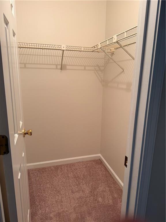 Building Photo - 3546 Mulberry Way