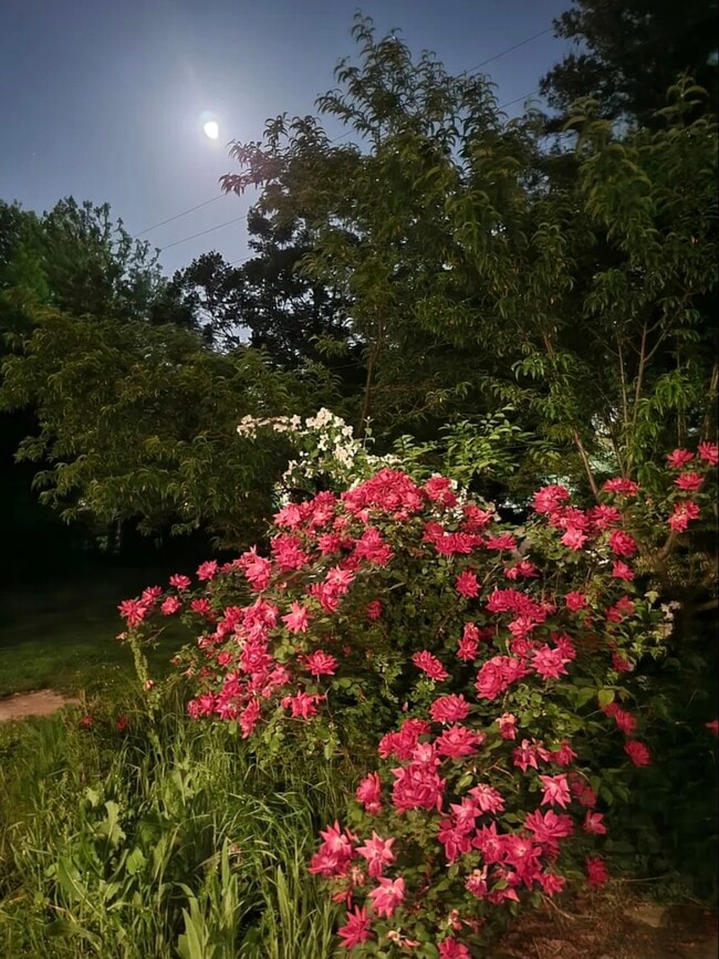 Building Photo - 68 Durrett Dr