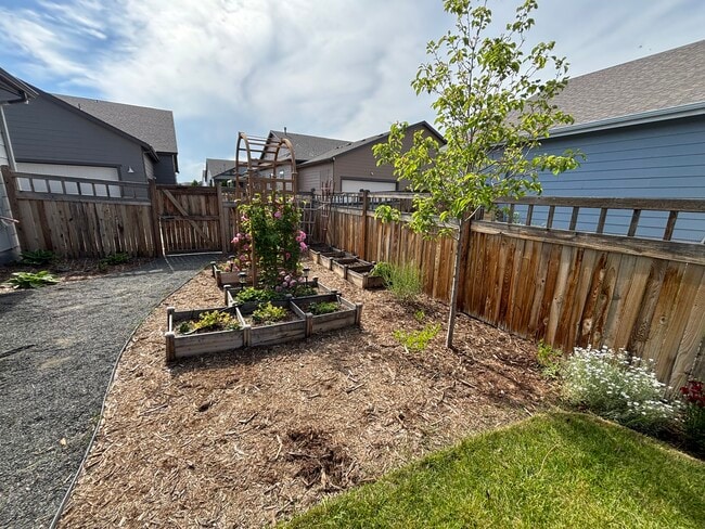 Building Photo - 791 Plum Creek Ct