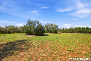 Building Photo - 148 N Stallion Ests Dr