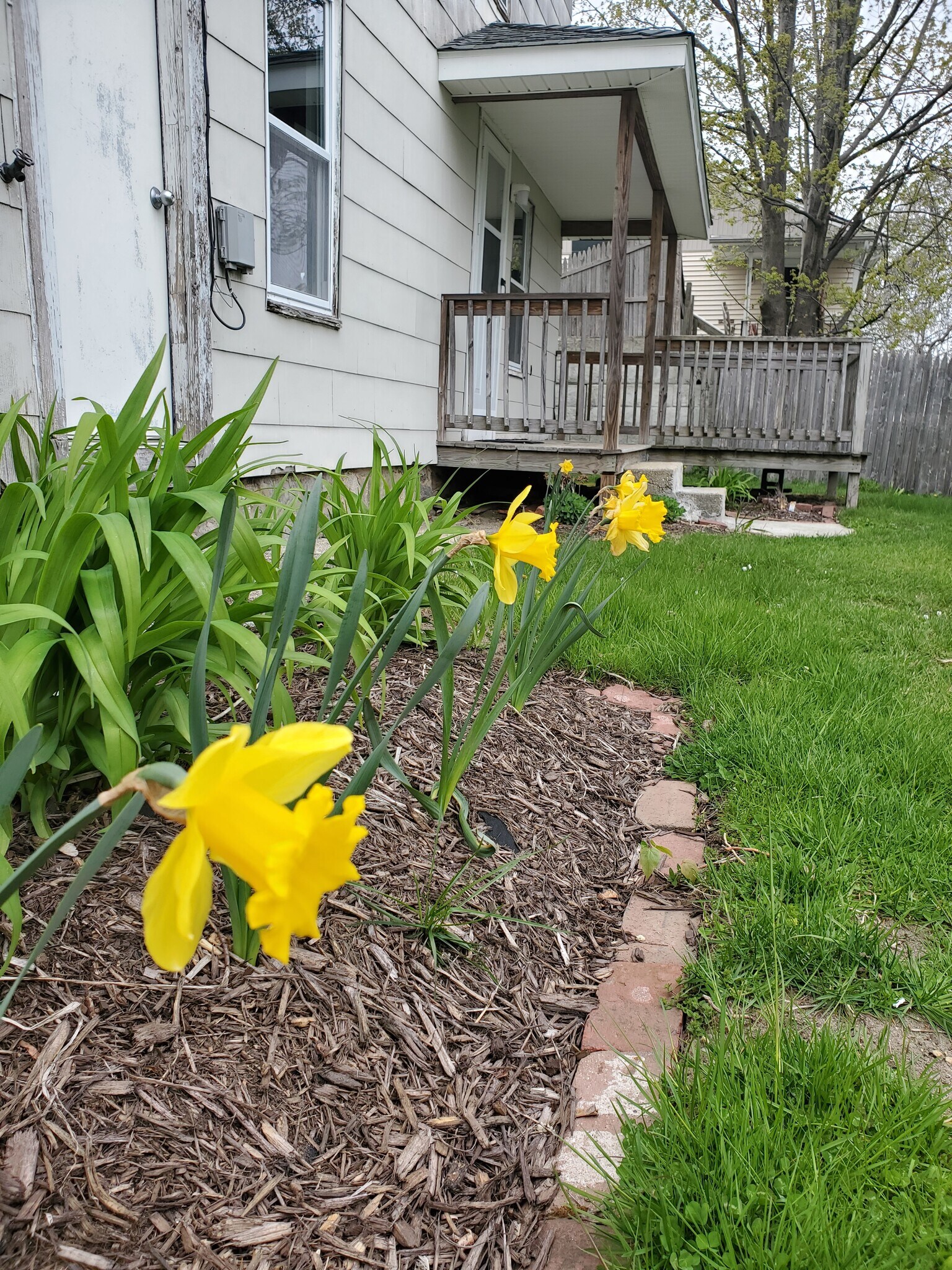 Building Photo - 215 Madison St