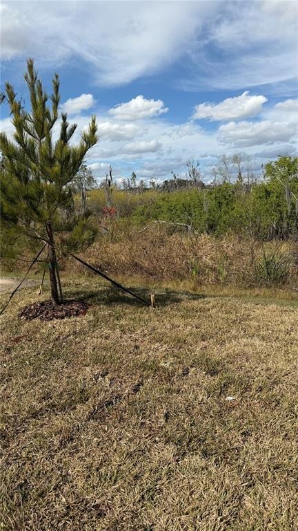 Building Photo - 1629 Tropical Oasis Ave