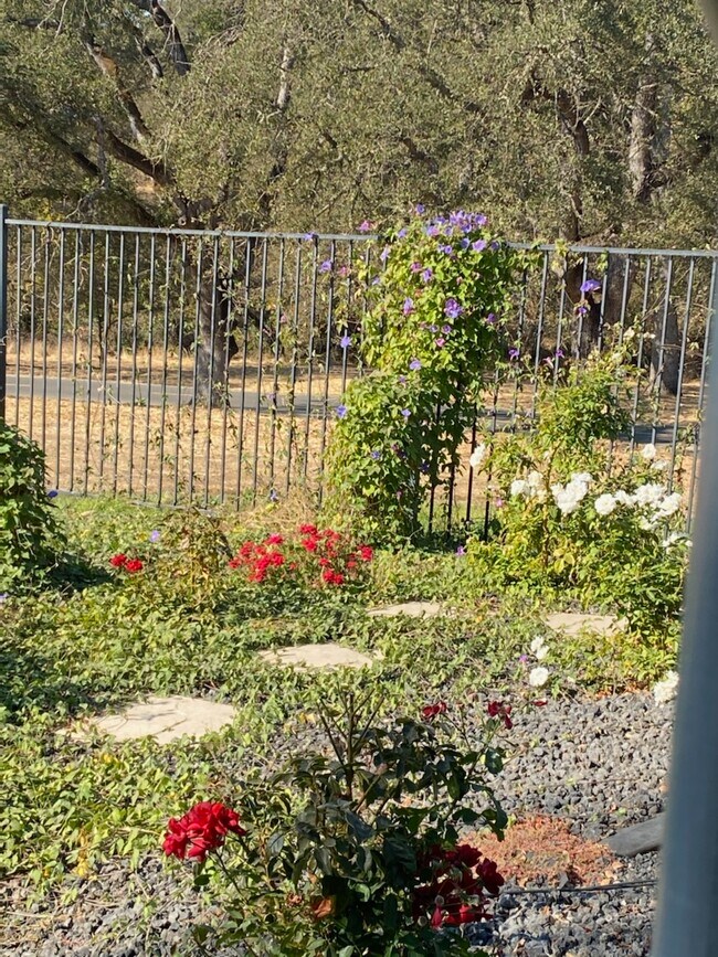 Building Photo - 108 Lost Oak Ct