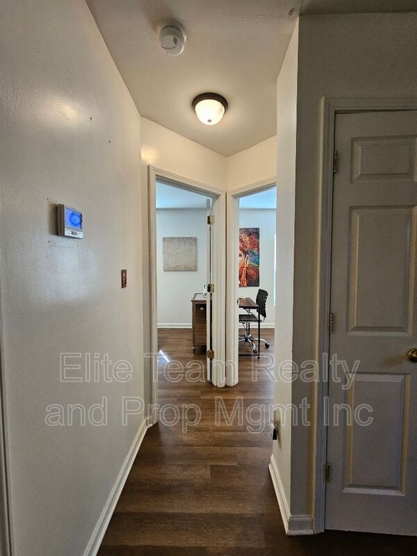 Building Photo - 336 Lutz Ave