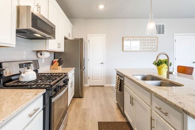 Building Photo - New Executive Furnished -Three bedroom, two bathroom new build home in Longmont fully furnished F...