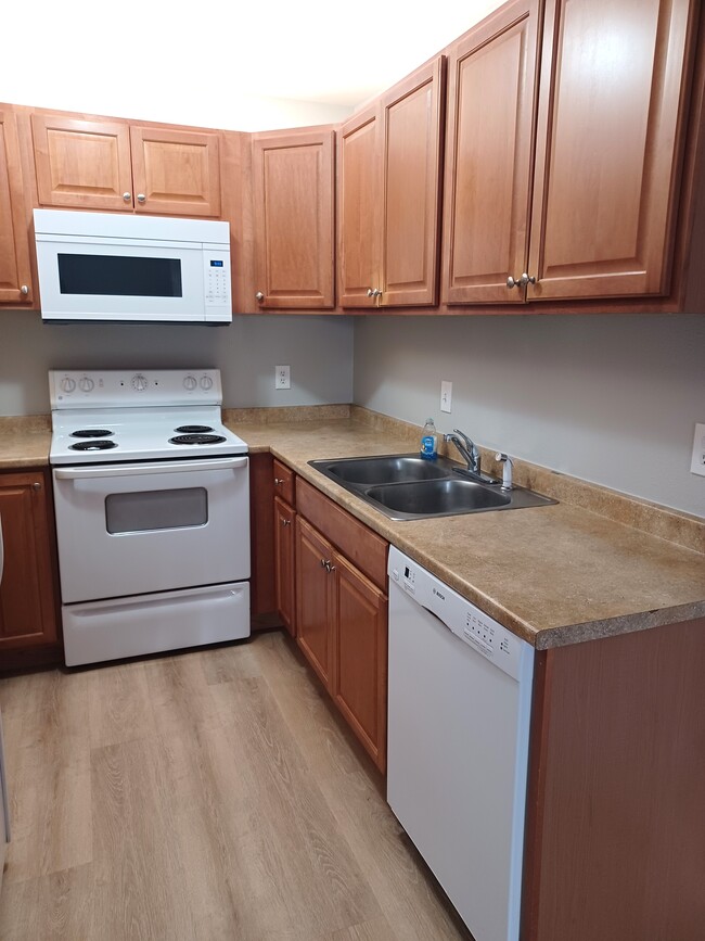 Updated Kitchen - 316 Challenger Pl