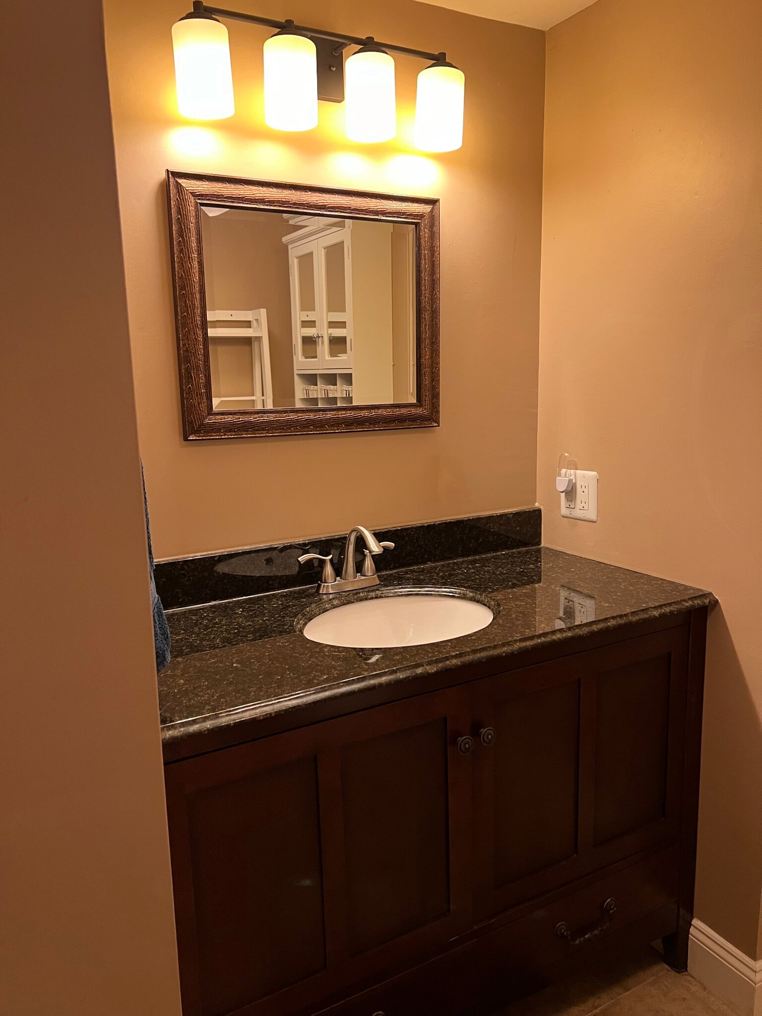 Basement Bathroom - 7413 Skyline Dr