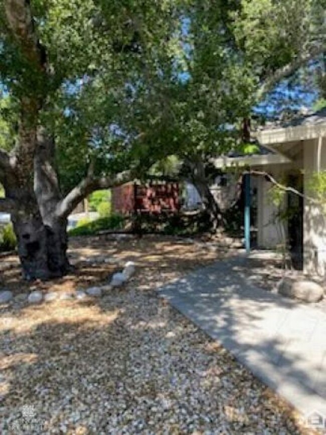 Building Photo - Newly Renovated Detached Studio Cottage!