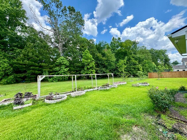 Building Photo - Nice Ladson 3 Bedroom!