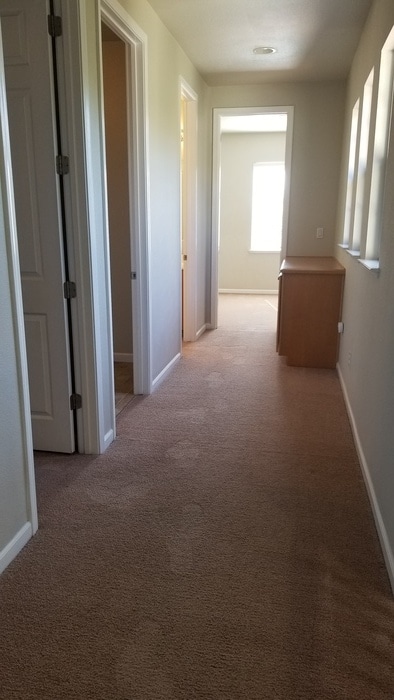 Building Photo - 953 Campfire Cir