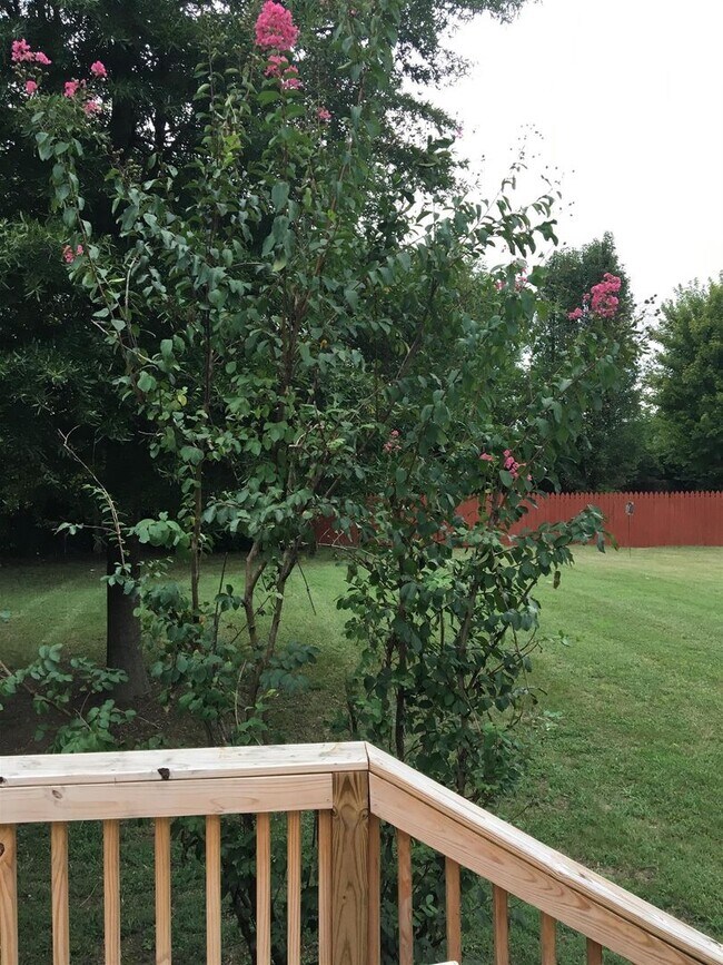 Building Photo - 3 Bedroom Hendersonville Ranch