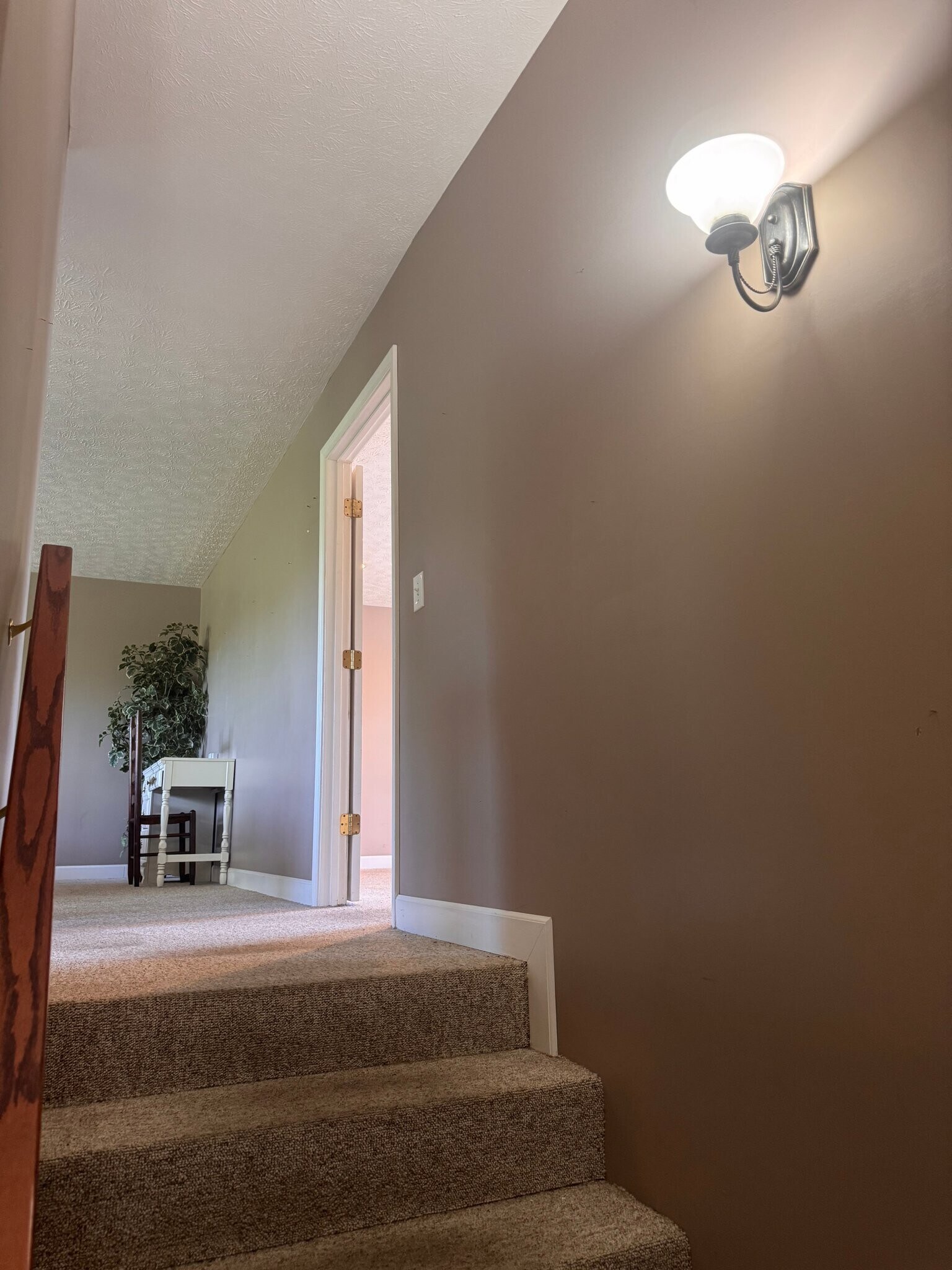 Building Photo - 507 S Cannon Blvd