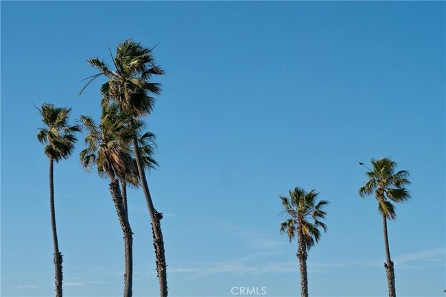 Building Photo - 17202 Corbina Ln