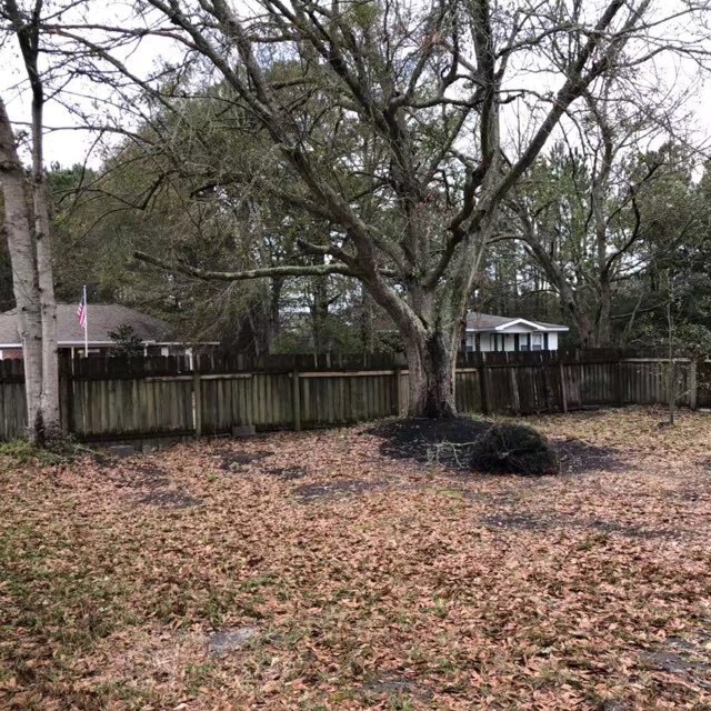 Building Photo - Beautiful 3/2 in Long Beach, MS