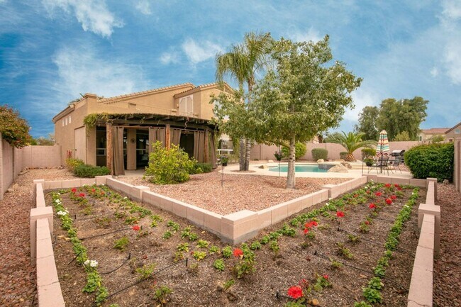 Building Photo - Nice Chandler home with Sparkling Swimming...