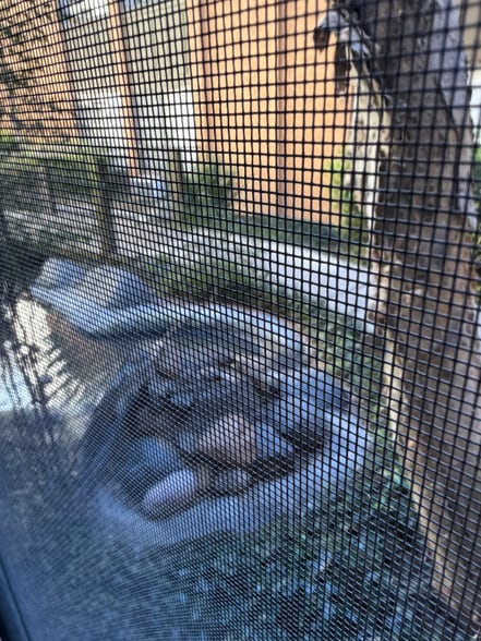 Building Photo - 3776 Alabama St