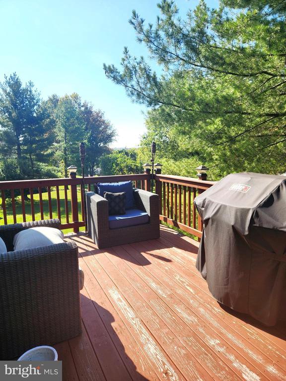 Building Photo - 11646 Cosca Park Dr