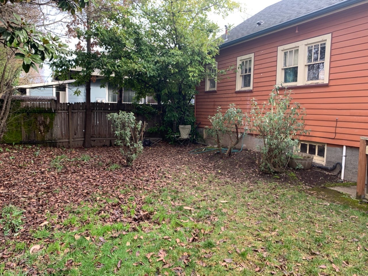 Backyard - 473 E 16th Ave