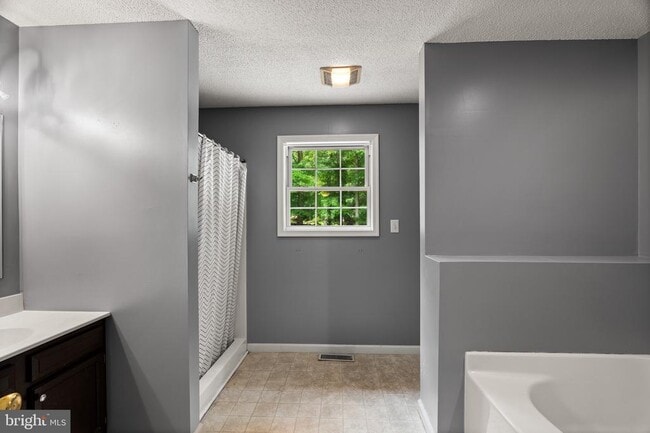 Building Photo - 344 White Mule Ln