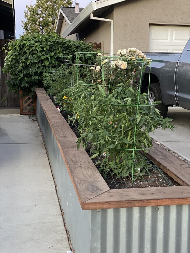 Building Photo - 1713 El Paseo Dr