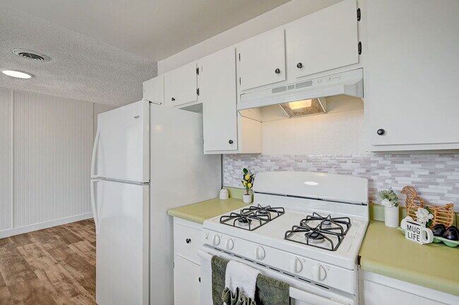 Building Photo - Freshly renovated 3 bed 2 bath single stor...